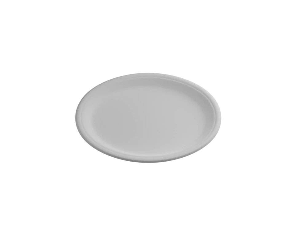 Eco Friendly Compartment Plates best